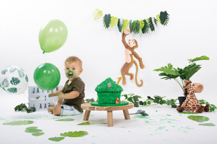 portfolio cakesmash jongetje met ballon en jungle dieren