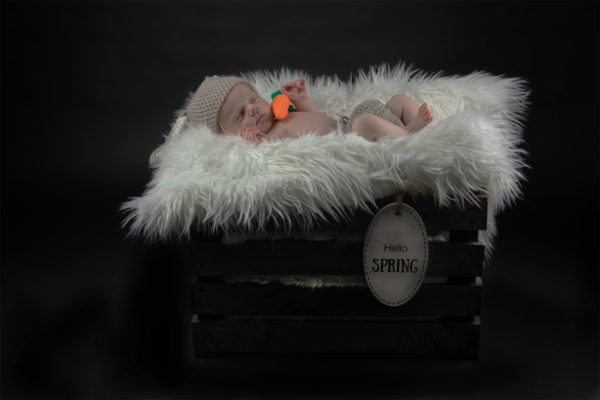 portfolio newborn jongetje slaapt lekker als konijn in een houten krat